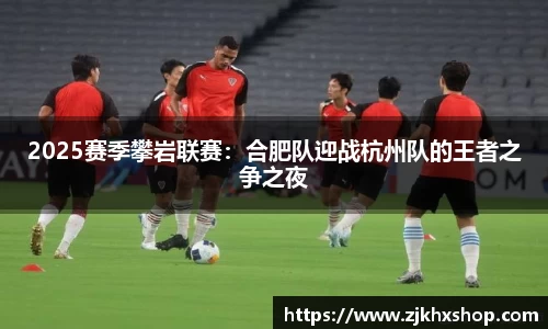 2025赛季攀岩联赛：合肥队迎战杭州队的王者之争之夜